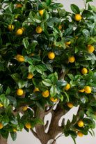 Lemon Treeificial Plant (Pot not included) Homekode 