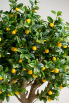 Lemon Treeificial Plant (Pot not included) Homekode 