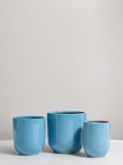 Blue Ceramic Plant pot (3 Sizes) FLO 