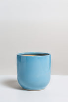 Blue Ceramic Plant pot (3 Sizes) FLO 