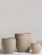 Beige Terracotta Pot (3 Sizes)