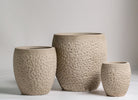 Beige Terracotta Pot (3 Sizes)