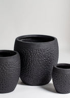 Black Terracotta Pot (3 Sizes)