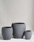 Gray Terracotta Pot (3 Sizes) FLO 