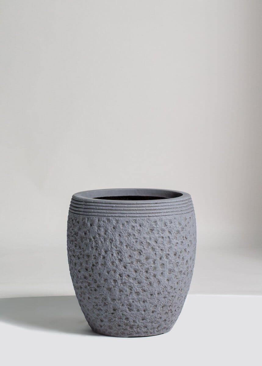 Gray Terracotta Pot (3 Sizes) FLO 