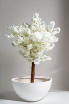 Fiber White Plant Pot (23X81X81 CM) 