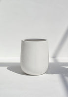 Ivory Textured Pot (3 Sizes)