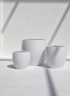 White Linear Bliss Pot (3 Sizes)