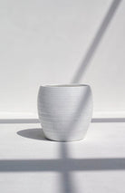 White Linear Bliss Pot (3 Sizes)