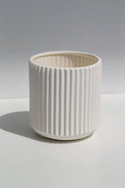 Classic Wide Flute Vase 