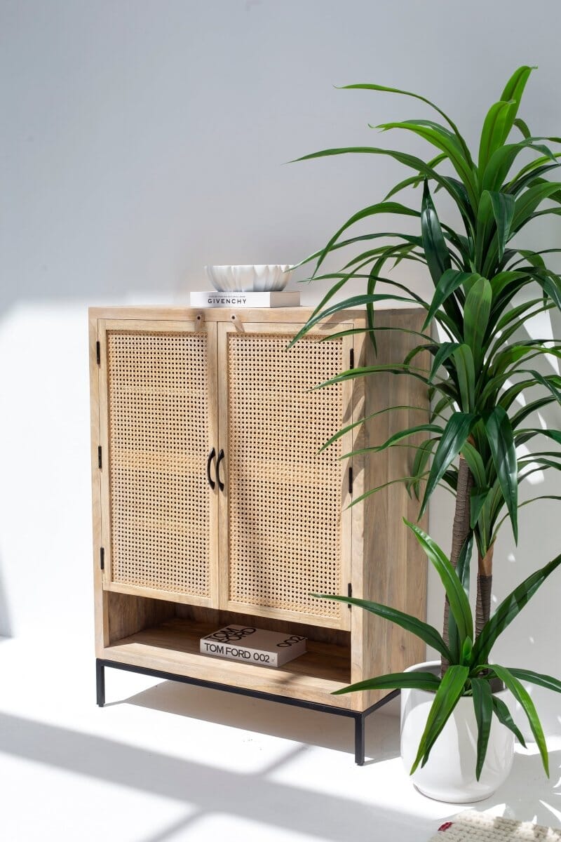 Wesley Two Doors Rattan Cabinet & Sideboard 