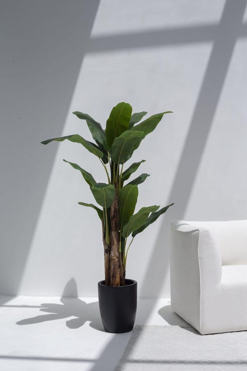 Musa Ornata Artificial Plant (Pot not included) Homekode 