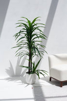 Dracaena Elegance Artificial Plant (Pot not included) FLO 