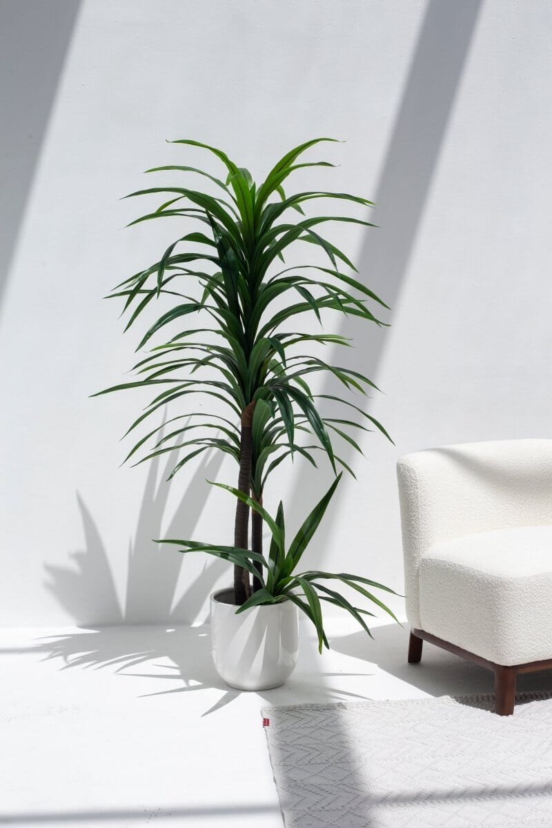 Dracaena Eleganceificial Plant (Pot not included)