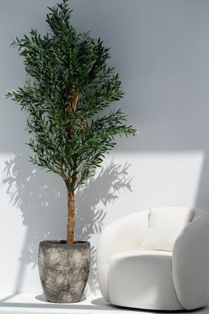 Artificial Olive Tree 250CM with Natural Wood Trunk (POT NOT INCLUDED) FLO 