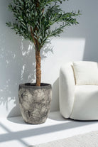 Artificial Olive Tree 250CM with Natural Wood Trunk (POT NOT INCLUDED) FLO 