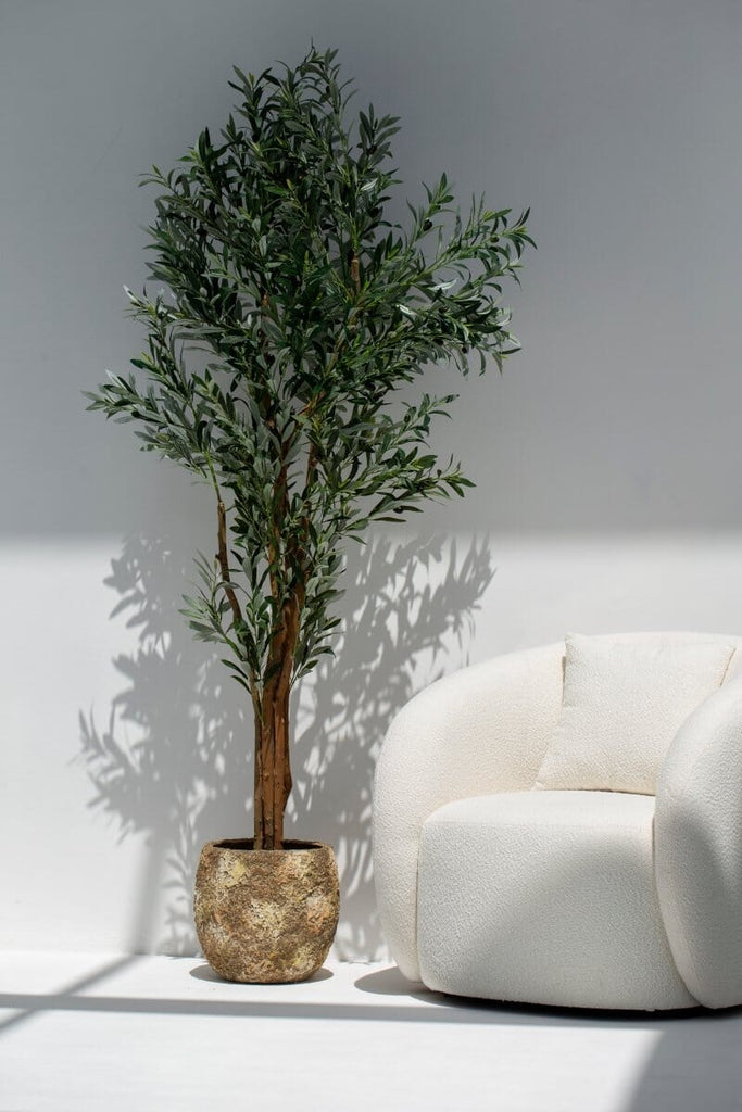 Artificial Olive Tree 210CM with Natural Wood Trunk (POT NOT INCLUDED) FLO 