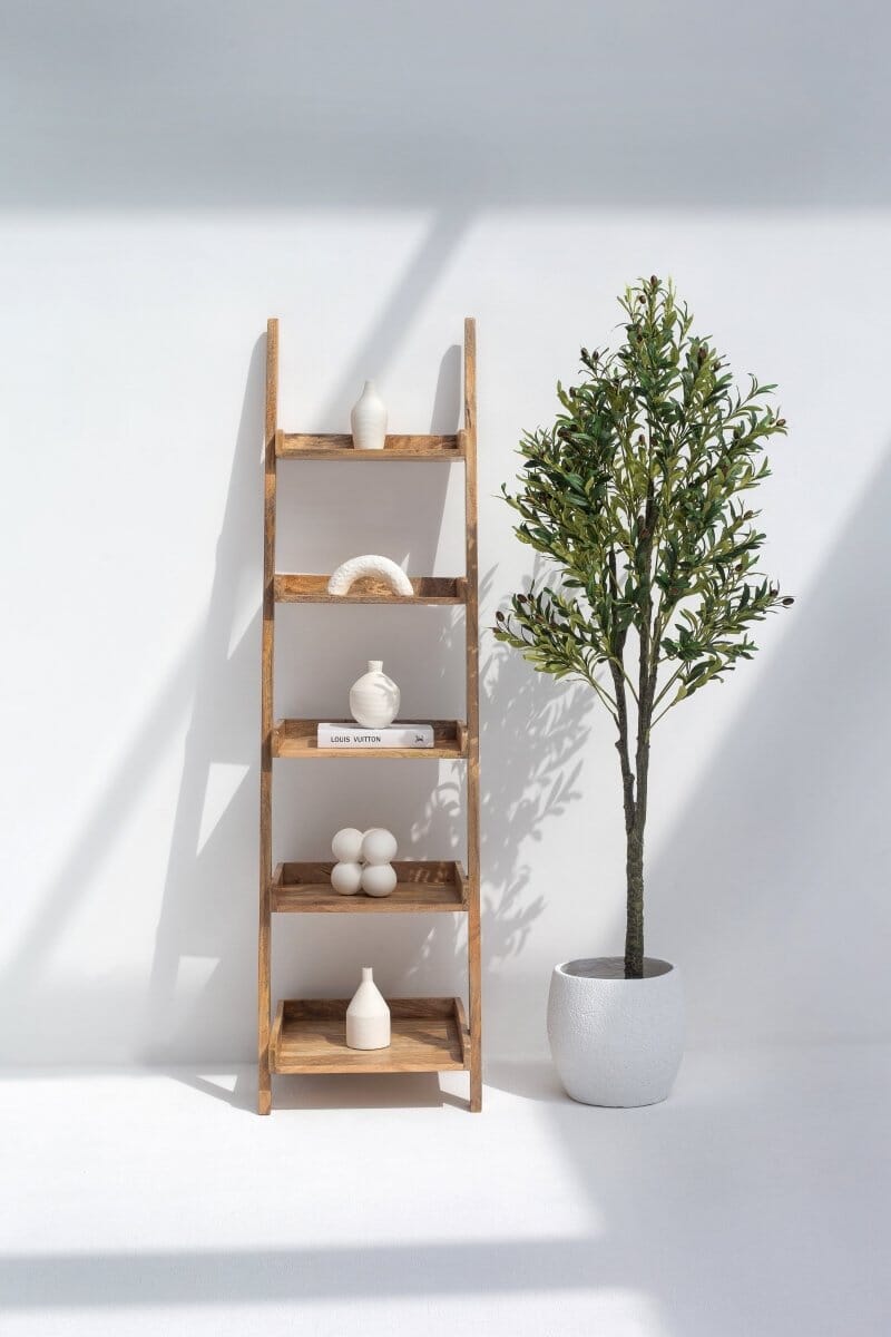 Mango Wood Ladder Shelves 