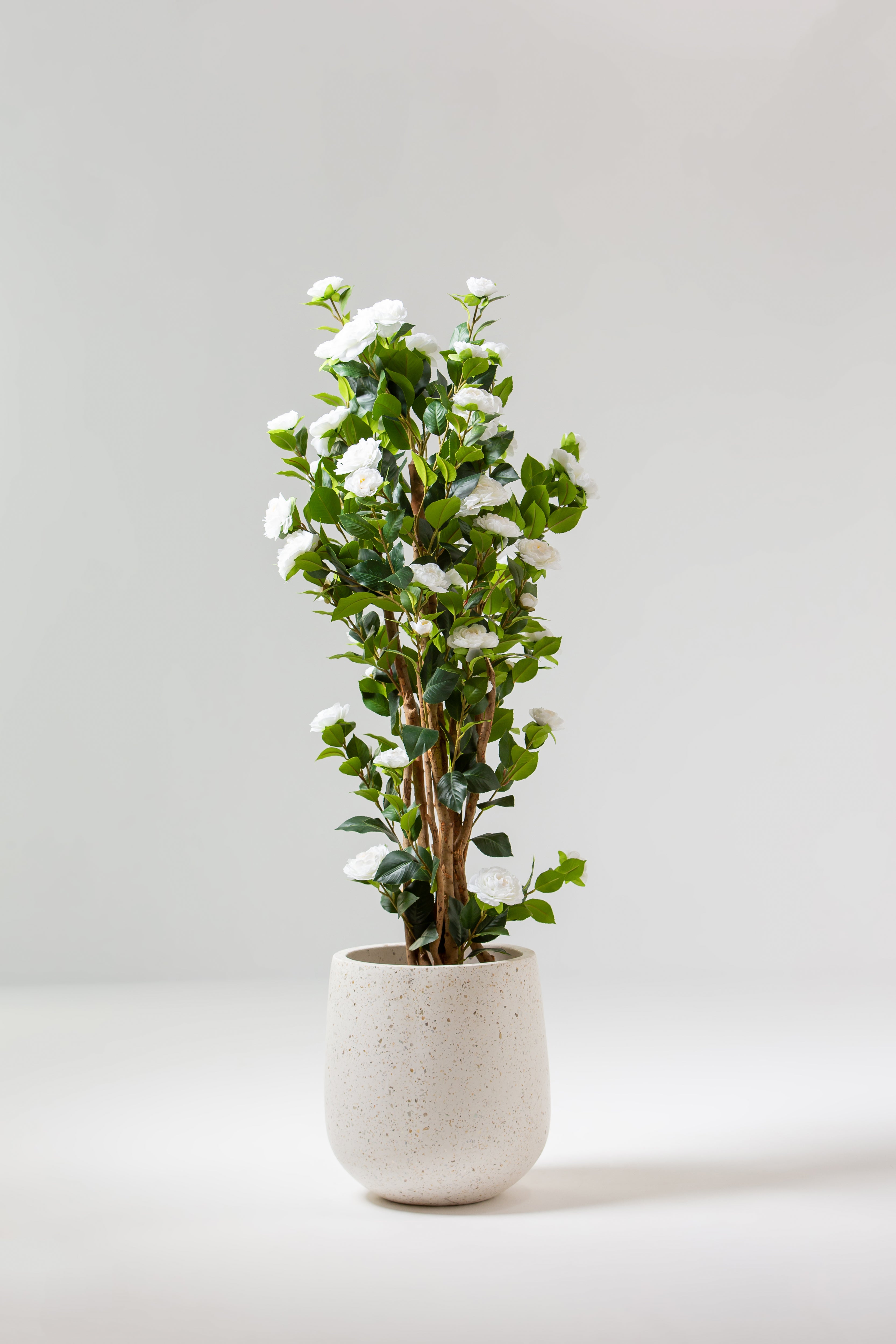 White Artificial Camellia Plant with Natural Wooden Trunk