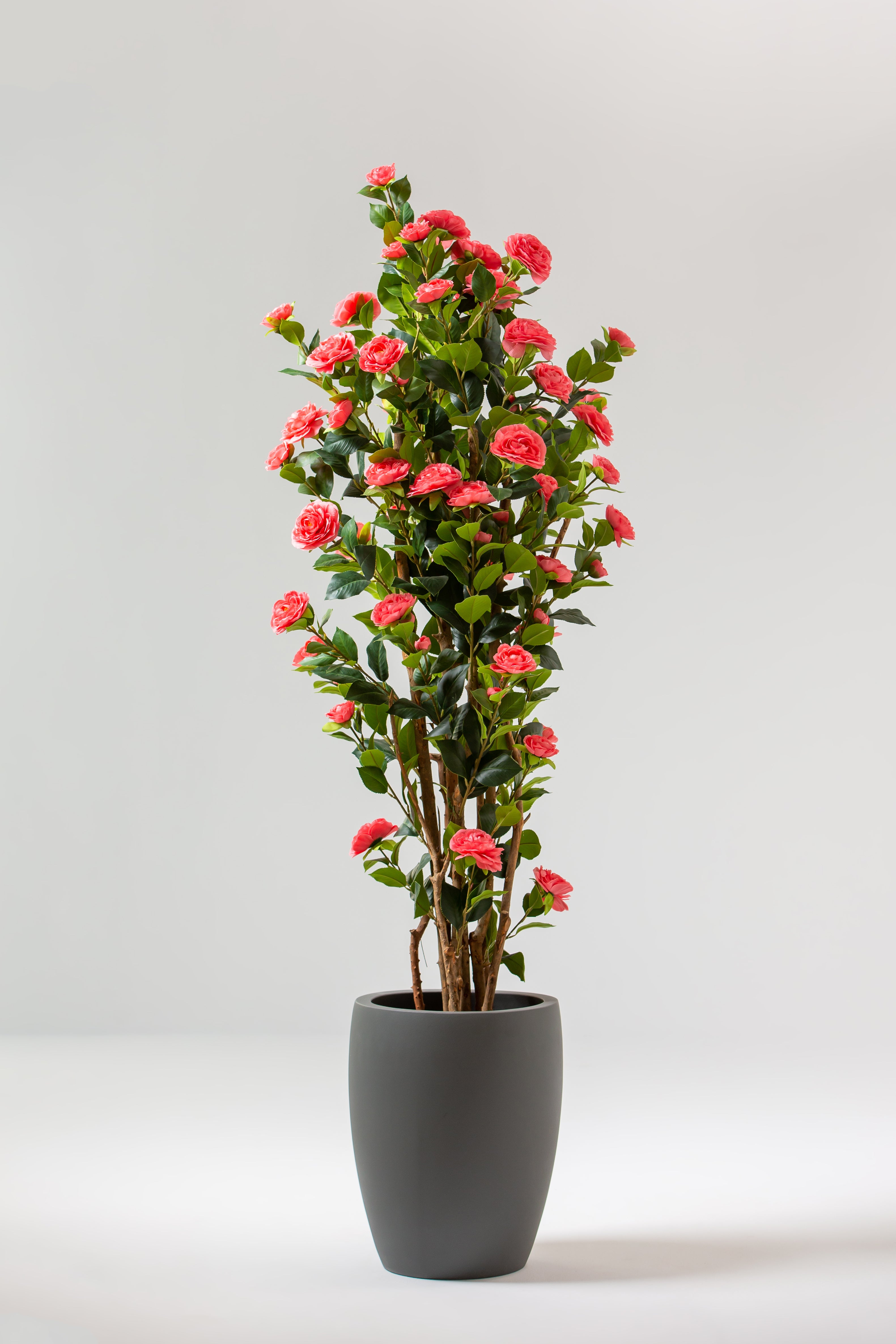 Pink Artificial Camellia Plant with Natural Wooden Trunk