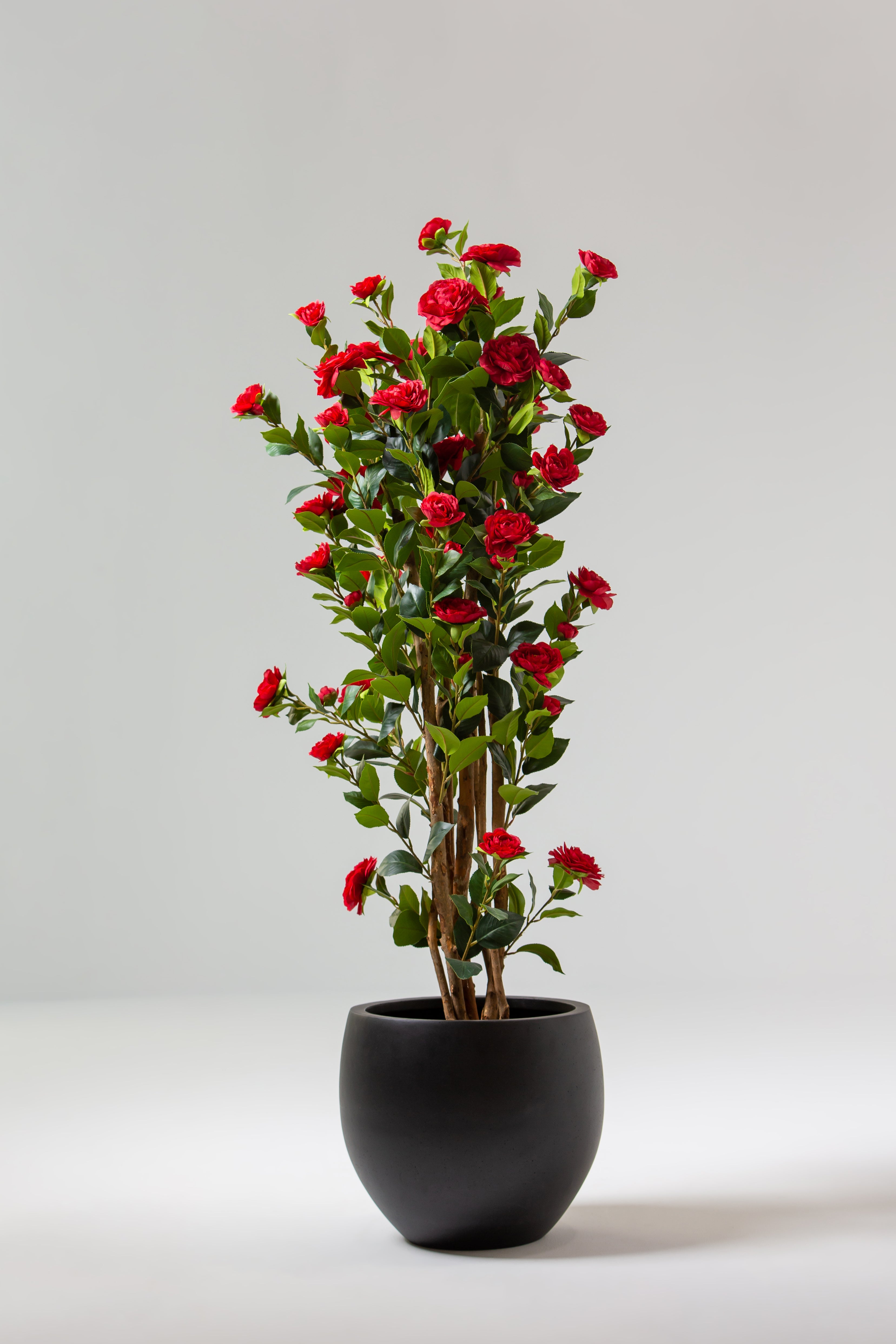 Red Artificial Camellia Plant with Natural Wooden Trunk
