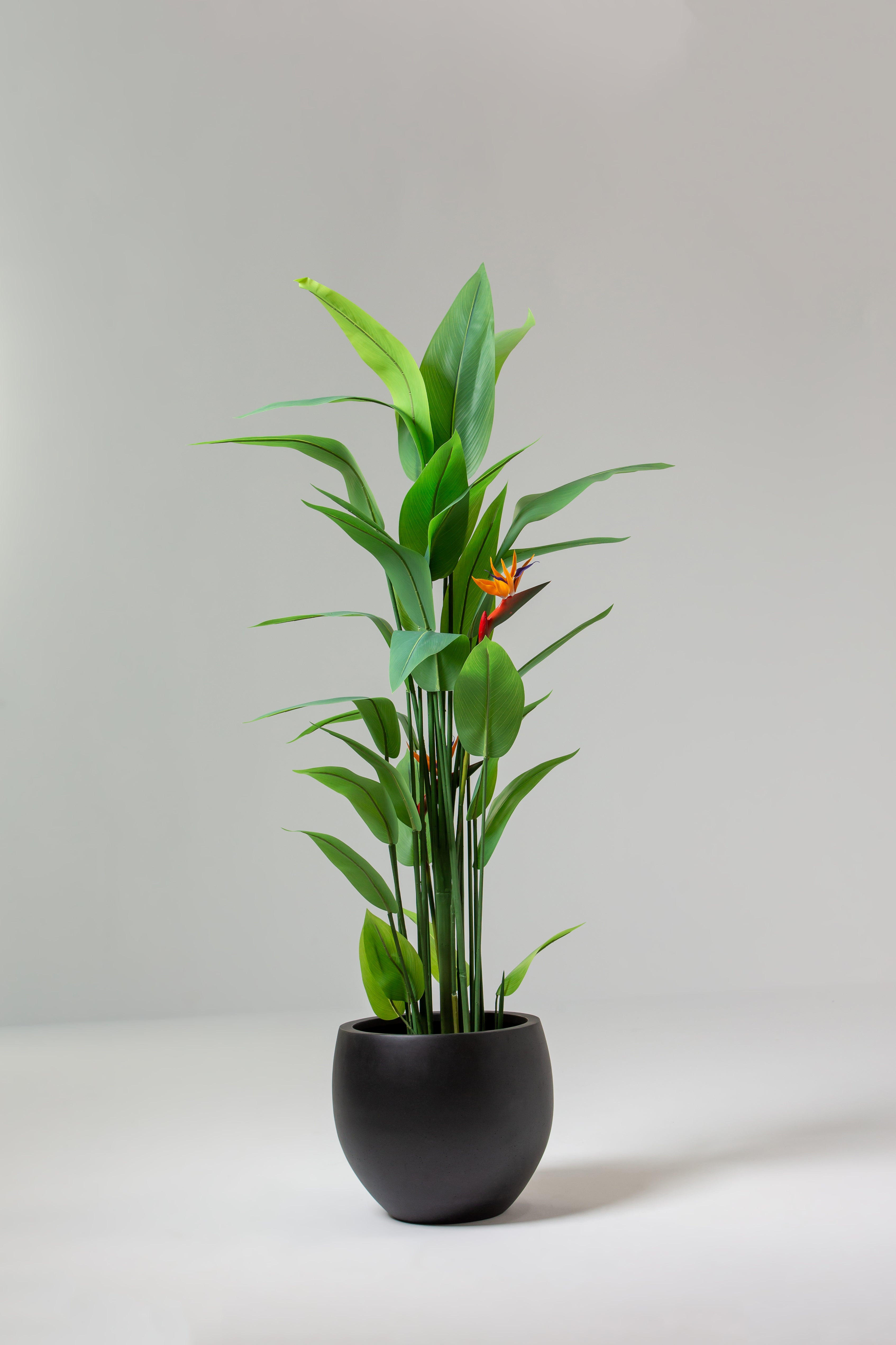 Bird of Paradise Artificial Plant