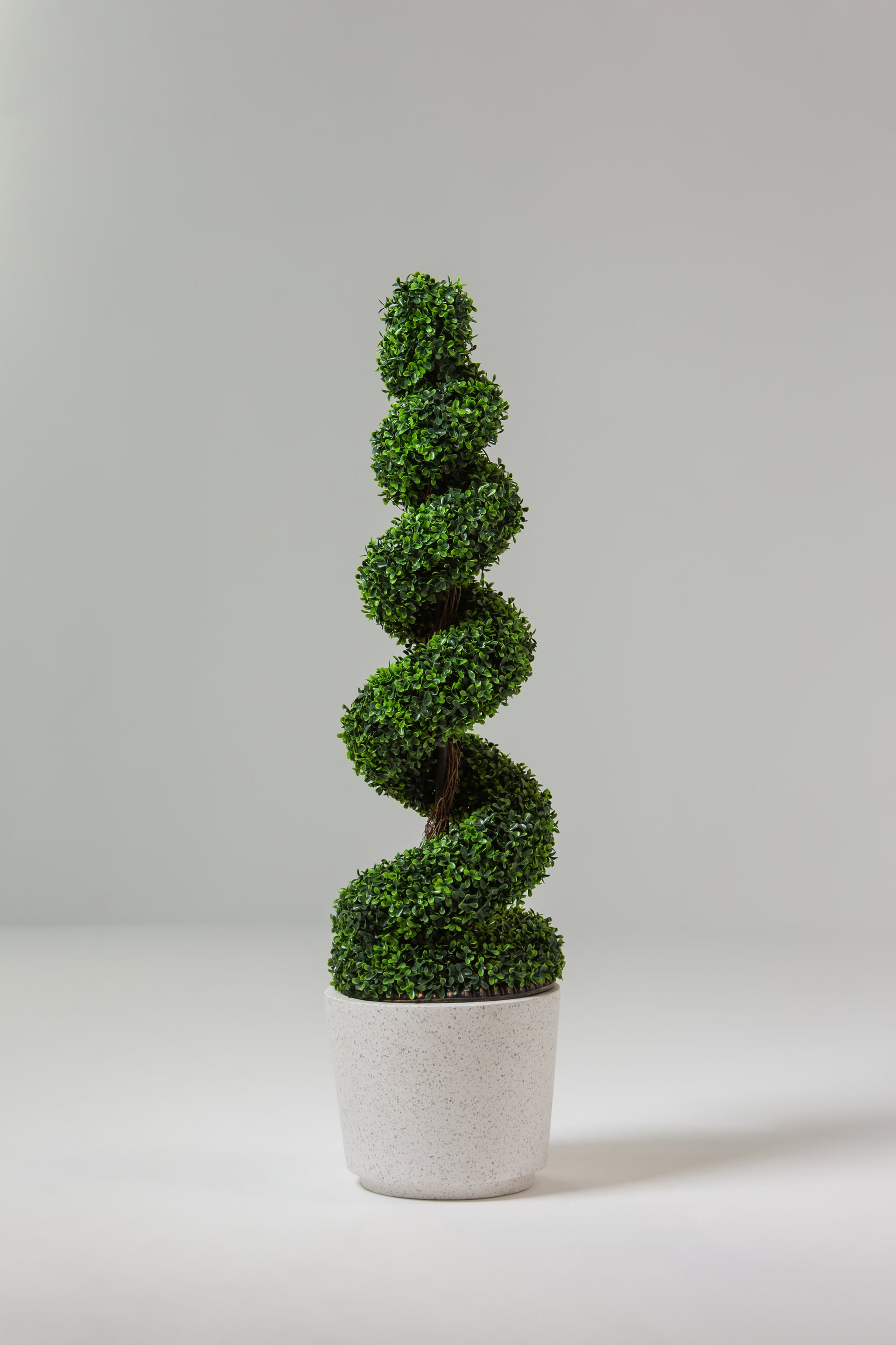 spiral bonsai tree Artificial Spiral Topiary Bonsai — Decorative Accent for Modern Interiors –  Homekode