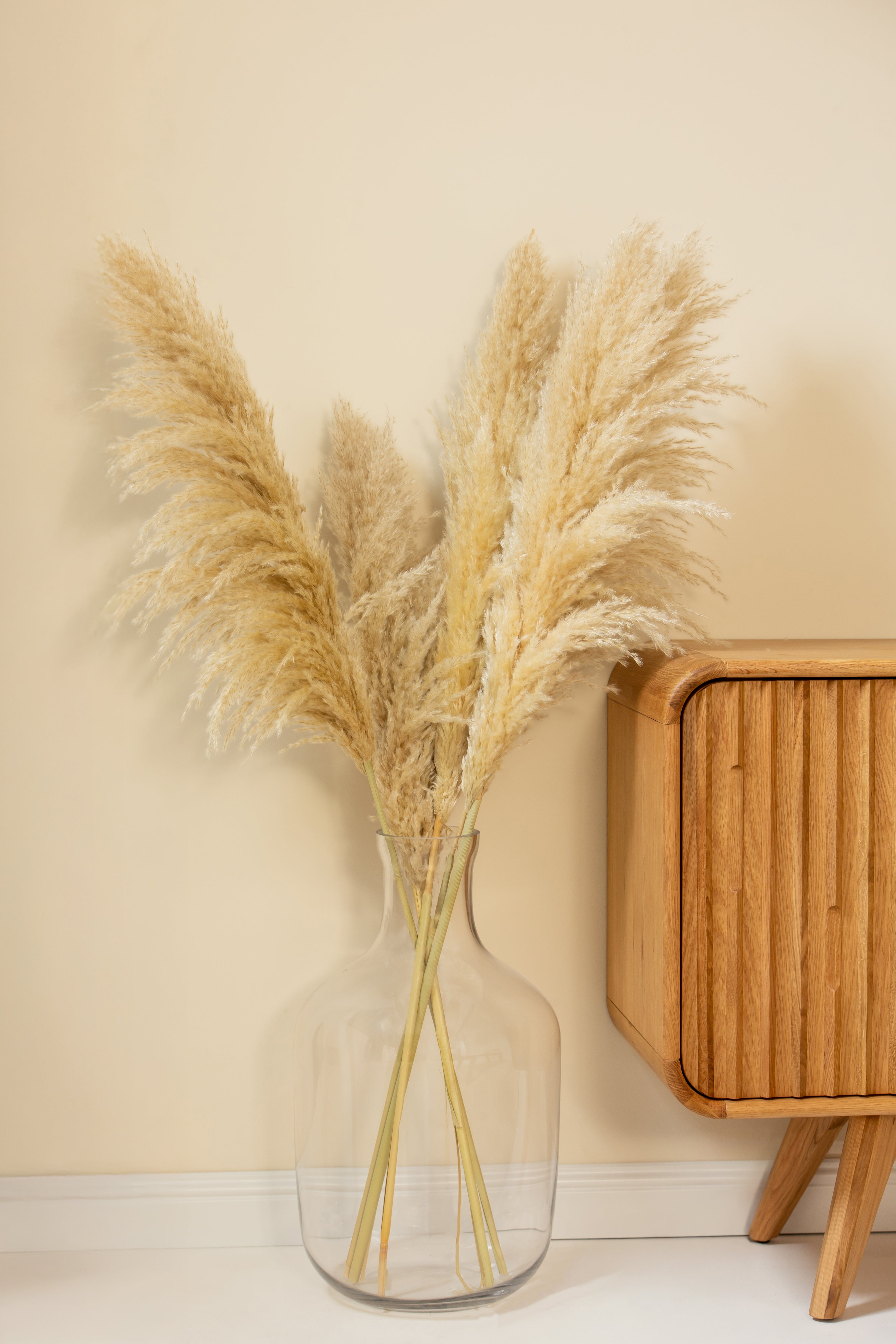 Serene Transparent Vase