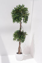 Ficus Maclellandii Artificial Plant (Pot not included) FLO 