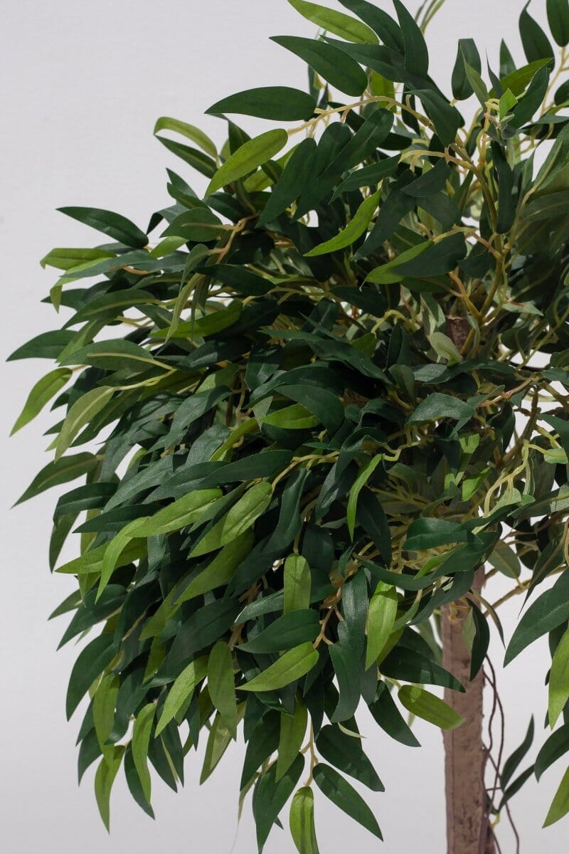 Ficus Maclellandii Artificial Plant (Pot not included) FLO 