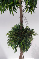 Ficus Maclellandii Artificial Plant (Pot not included) FLO 