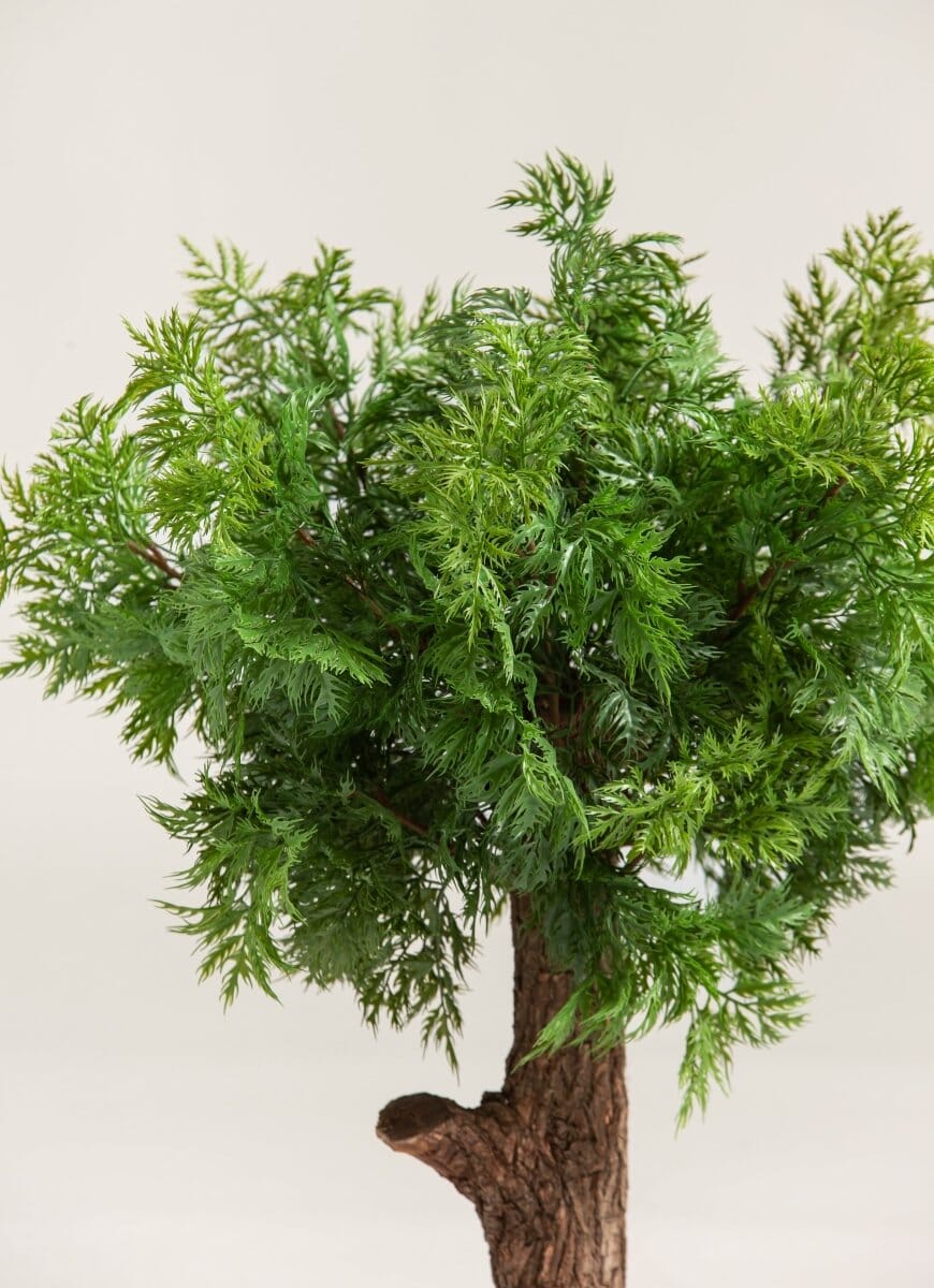 Chamaecyparis Obtusa Artificial Plant FLO 