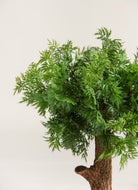 Chamaecyparis Obtusa Artificial Plant FLO 