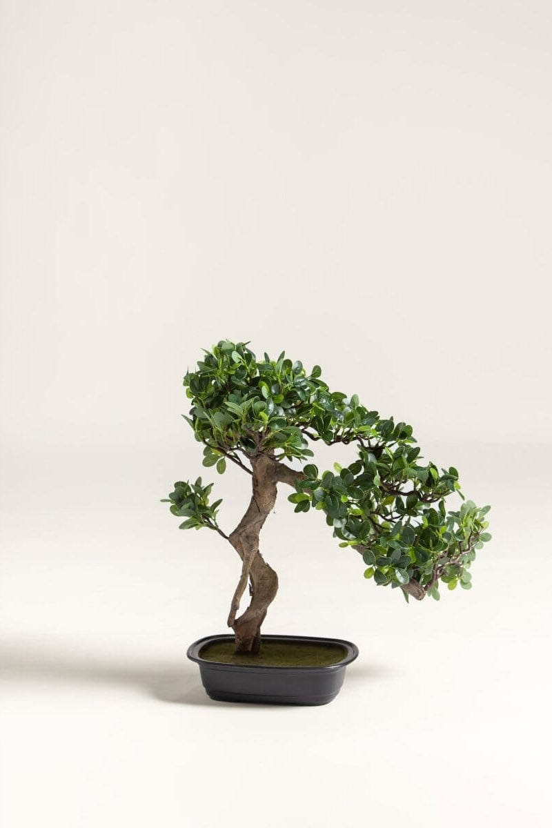 Ficus Microcarpa Bonsai Artificial Plant