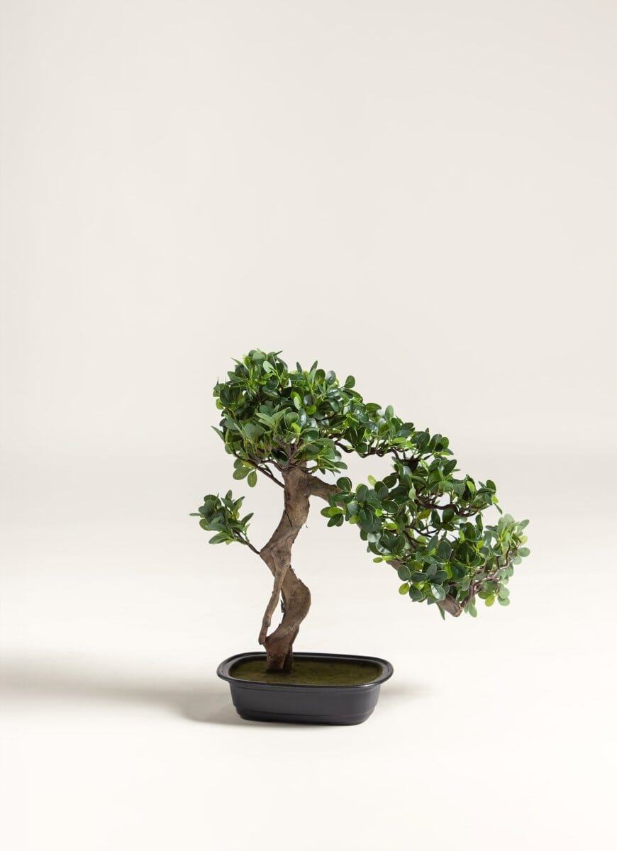 Ficus Microcarpa Bonsai Artificial Plant (Pot not included) FLO 