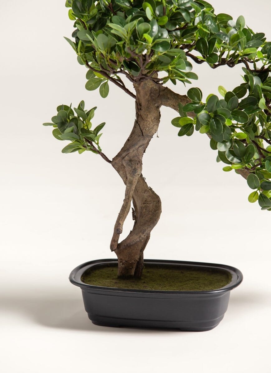 Ficus Microcarpa Bonsaiificial Plant (Pot not included)