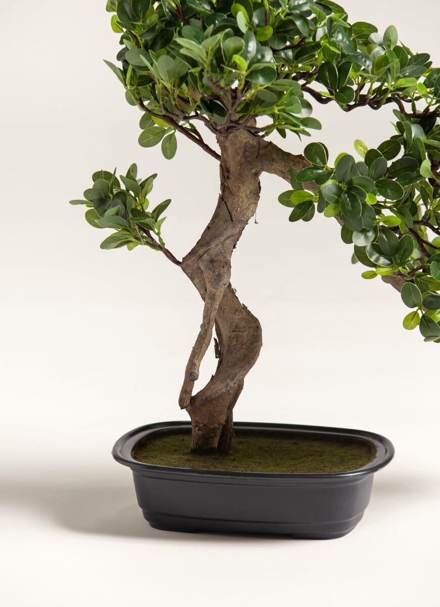 Ficus Microcarpa Bonsai Artificial Plant (Pot not included) FLO 