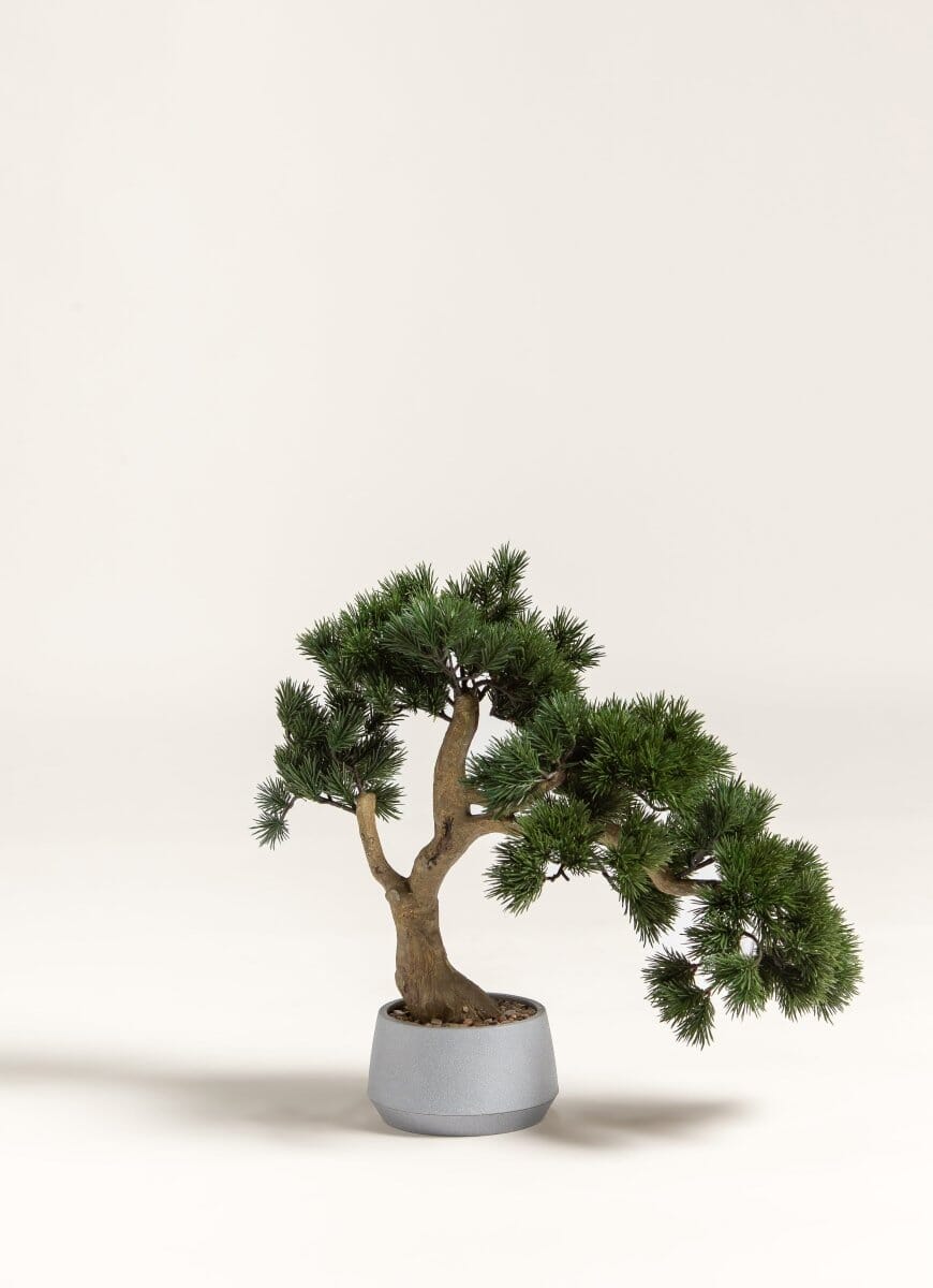 Pinus Thunbergii Bonsai Artificial Plant FLO 