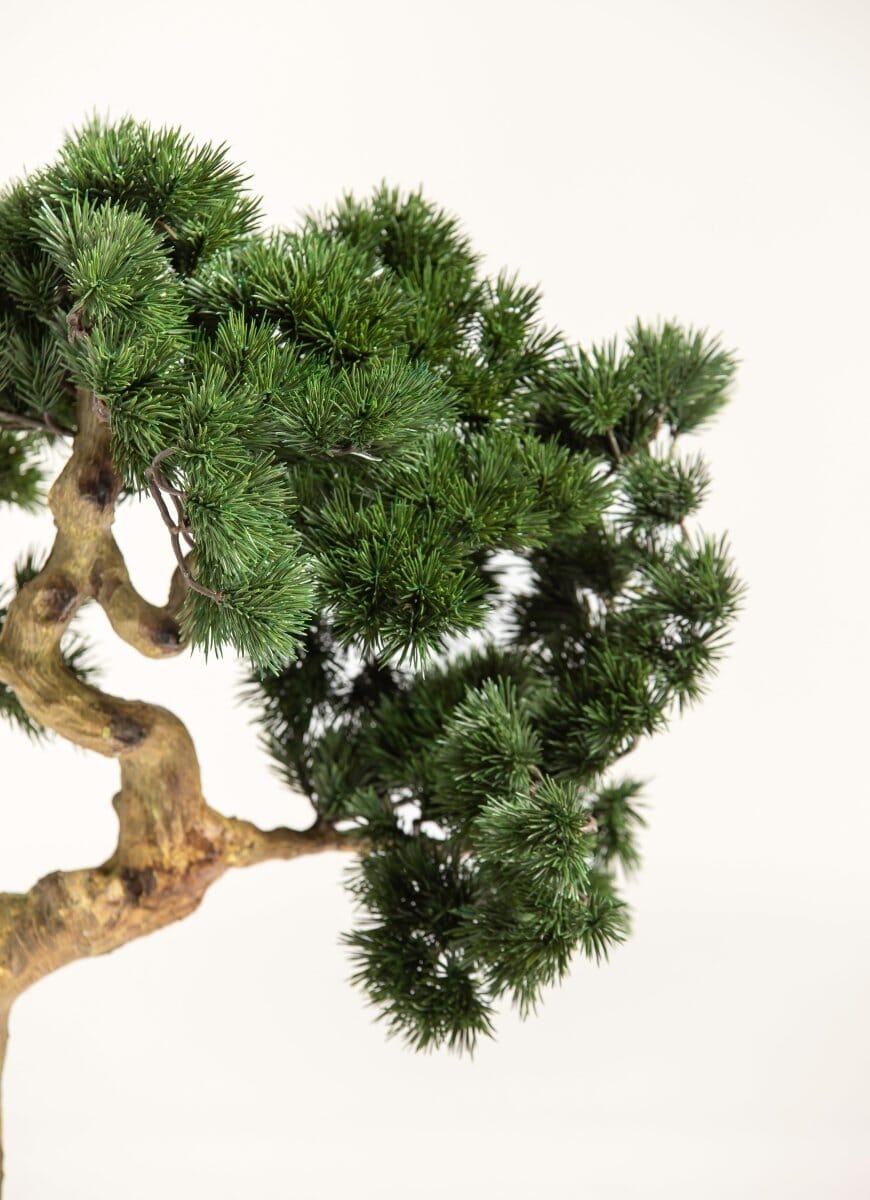 Pinus Mugo Bonsai Artificial Plant FLO 