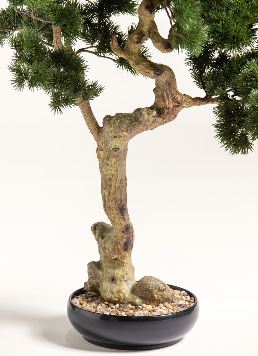 Pinus Mugo Bonsai Artificial Plant FLO 