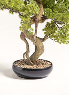 Pinus Thunbergii Bonsai Artificial Plant II FLO 