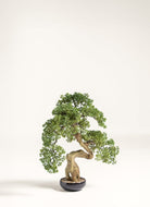 Pinus Thunbergii Bonsai Artificial Plant III FLO 