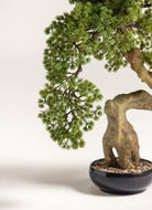 Pinus Thunbergii Bonsai Artificial Plant III FLO 