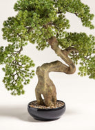 Pinus Thunbergii Bonsai Artificial Plant III FLO 