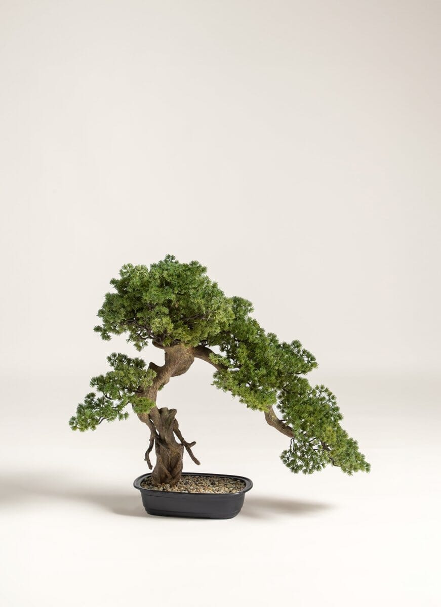 Juniperus Procumbens Bonsai Artificial Plant FLO 