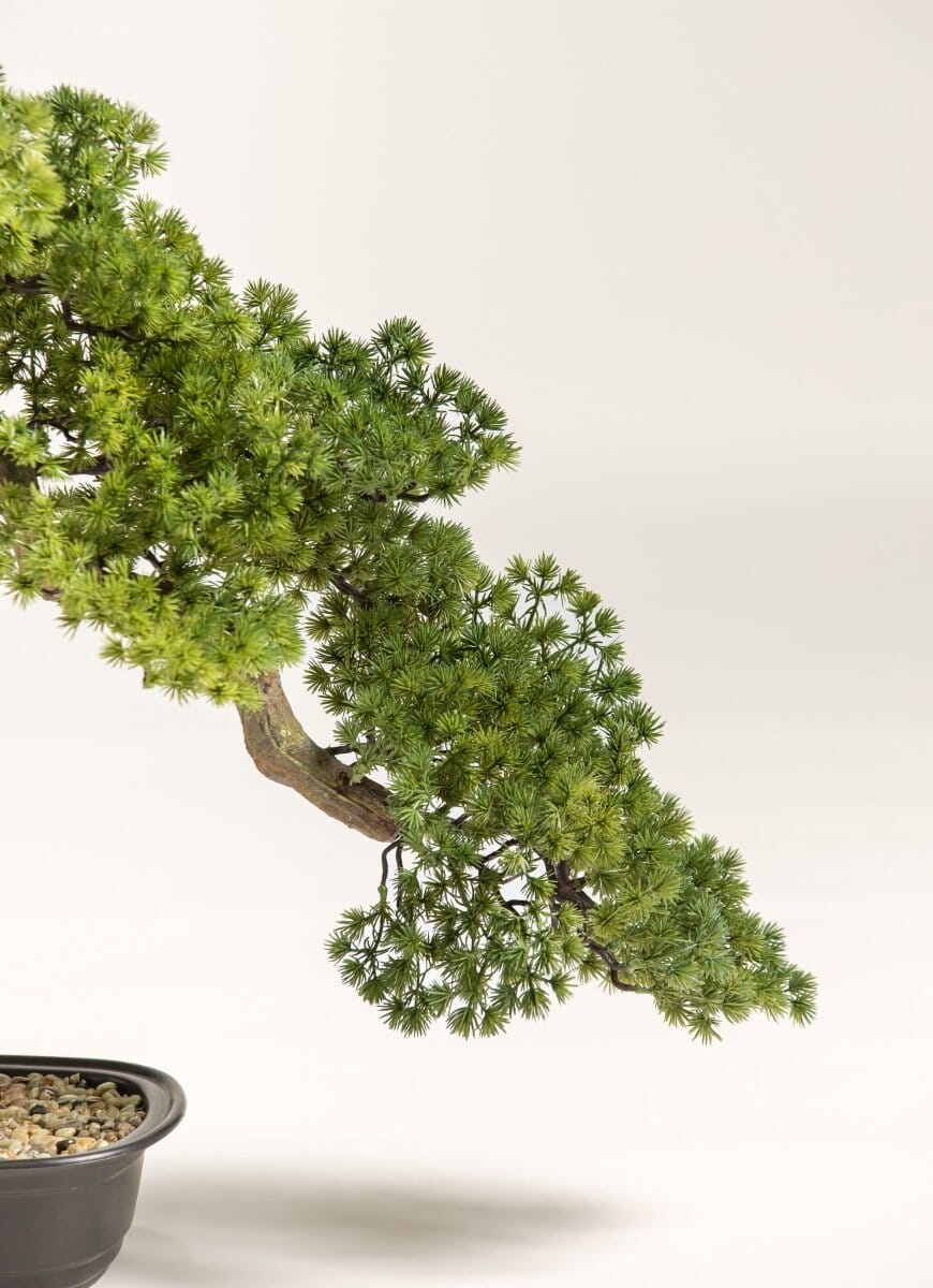 Juniperus Procumbens Bonsai Artificial Plant FLO 