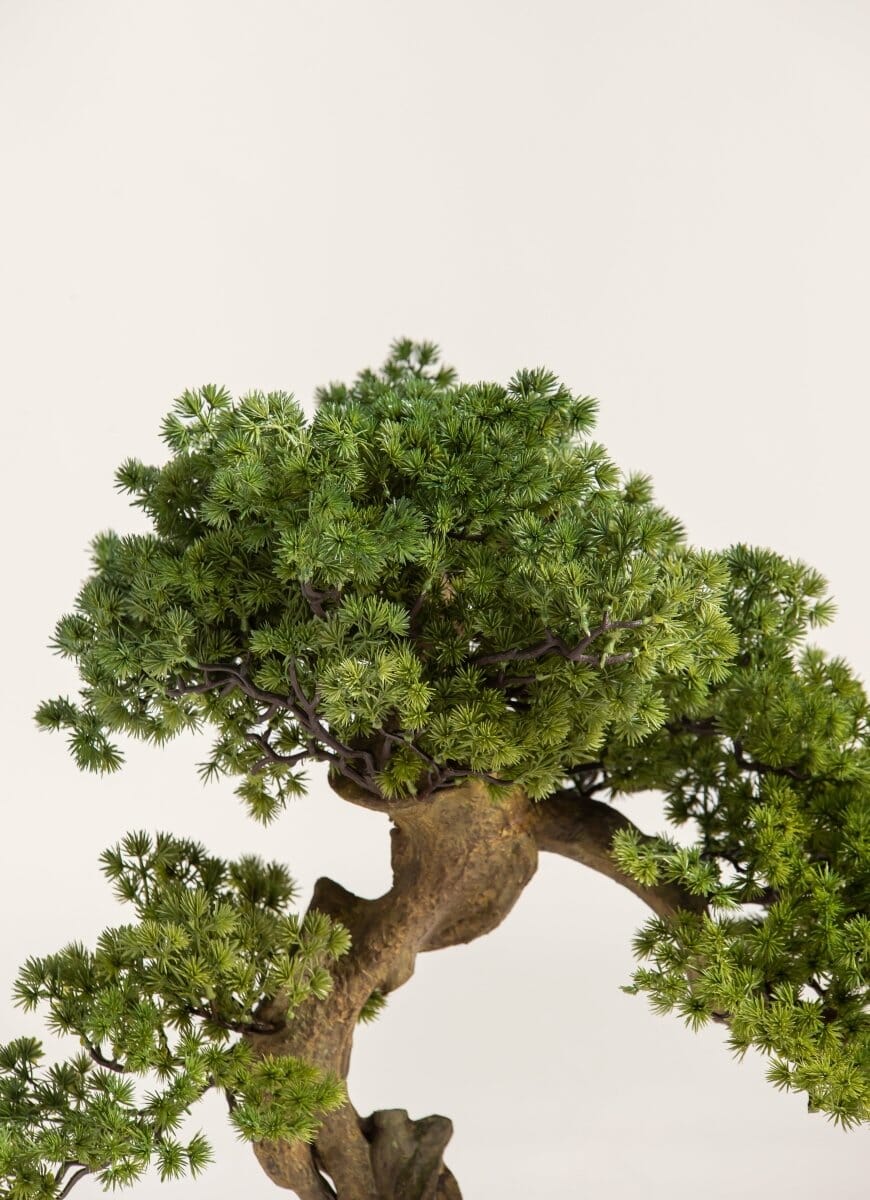 Juniperus Procumbens Bonsai Artificial Plant FLO 