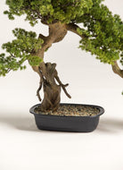 Juniperus Procumbens Bonsai Artificial Plant FLO 