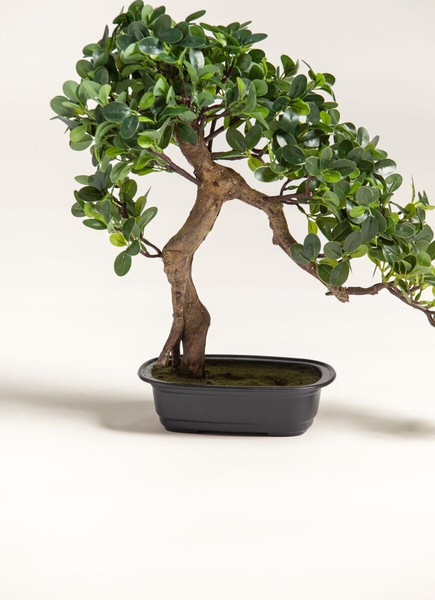 Ficus Microcarpa Bonsai Artificial Plant II FLO 