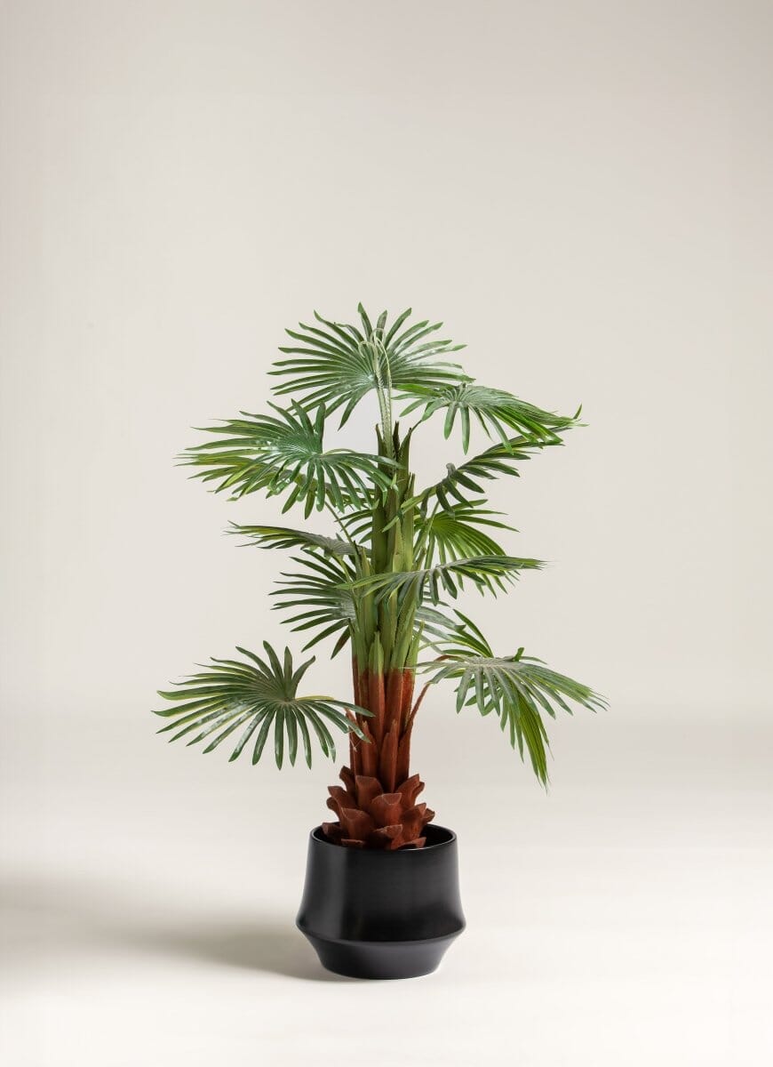 Rhapis Excelsa Artificial Plant (Pot not included) FLO 